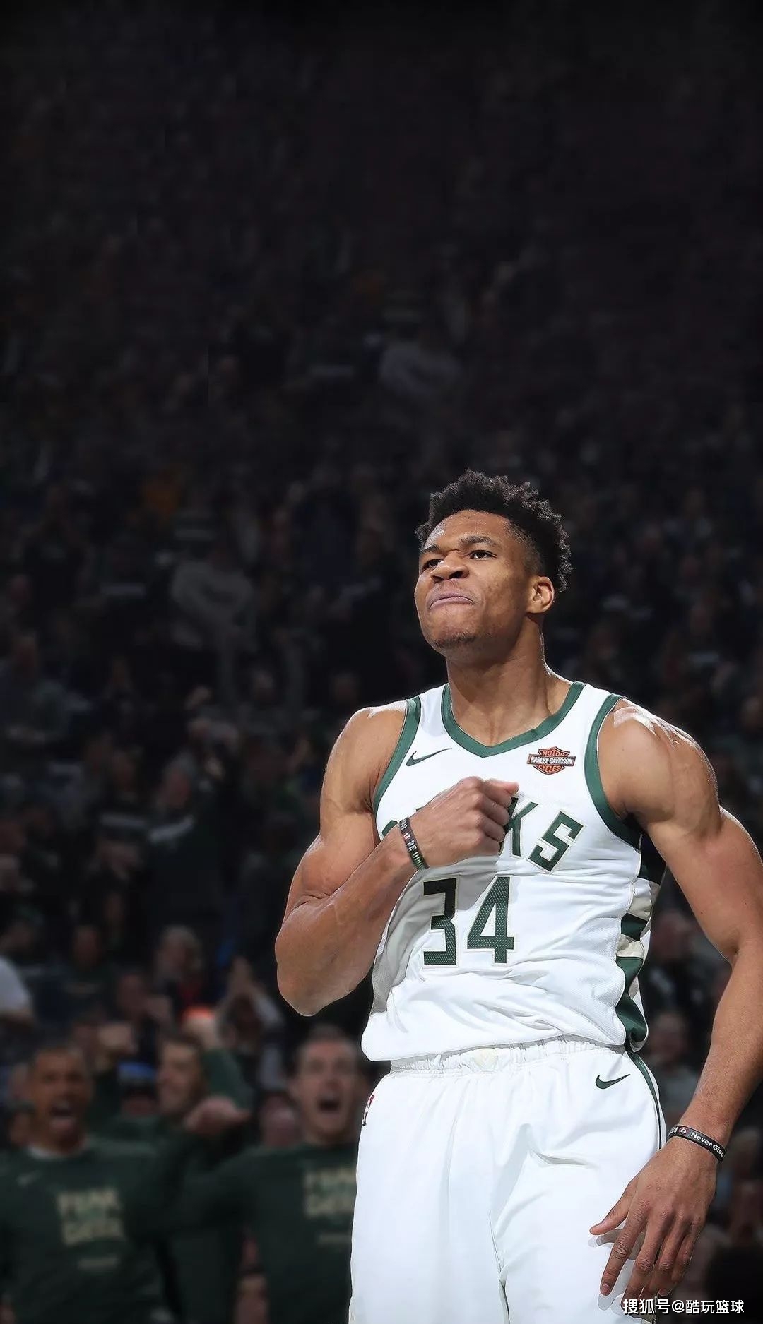 为什么会笑 为什么会笑